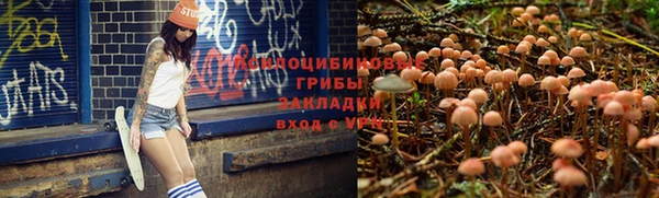 марки nbome Арсеньев